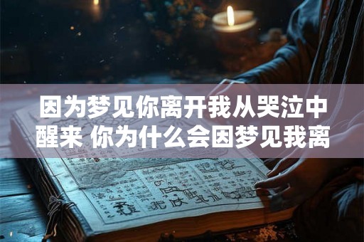 因为梦见你离开我从哭泣中醒来 你为什么会因梦见我离开而从哭泣中醒来
