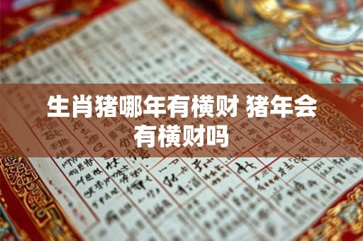 生肖猪哪年有横财 猪年会有横财吗