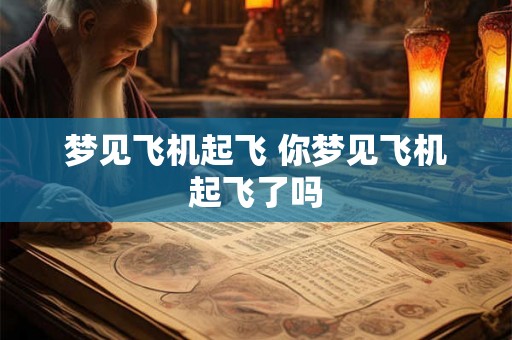梦见飞机起飞 你梦见飞机起飞了吗