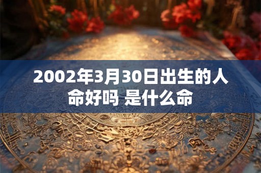 2002年3月30日出生的人命好吗 是什么命
