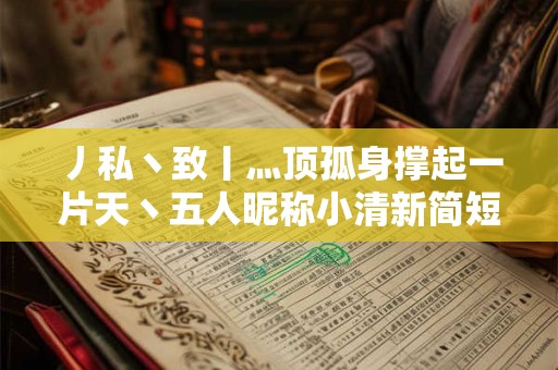 丿私丶致丨灬顶孤身撑起一片天丶五人昵称小清新简短