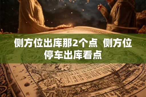 侧方位出库那2个点  侧方位停车出库看点