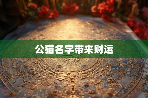 公猫名字带来财运