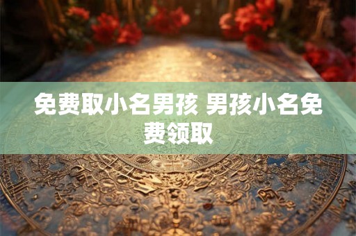 免费取小名男孩 男孩小名免费领取