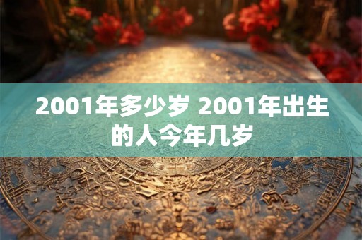 2001年多少岁 2001年出生的人今年几岁