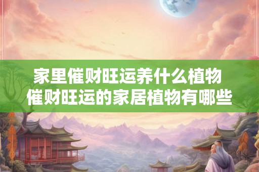 家里催财旺运养什么植物 催财旺运的家居植物有哪些