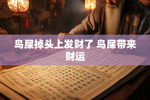 鸟屎掉头上发财了 鸟屎带来财运