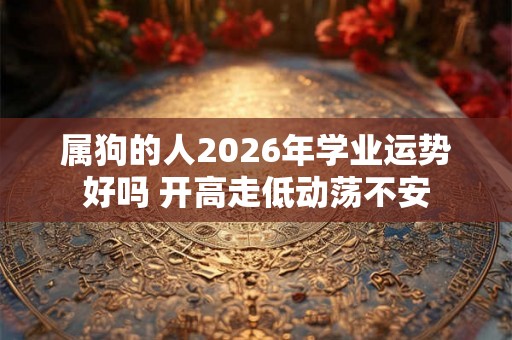 属狗的人2026年学业运势好吗 开高走低动荡不安