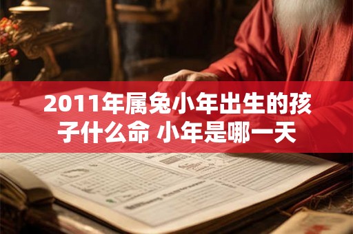 2011年属兔小年出生的孩子什么命 小年是哪一天