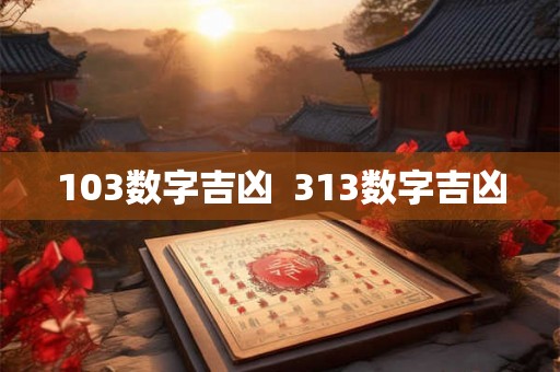 103数字吉凶  313数字吉凶