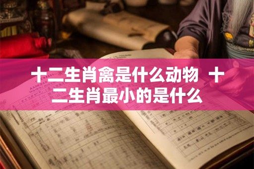 十二生肖禽是什么动物  十二生肖最小的是什么