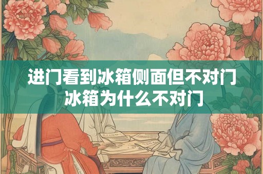 进门看到冰箱侧面但不对门 冰箱为什么不对门