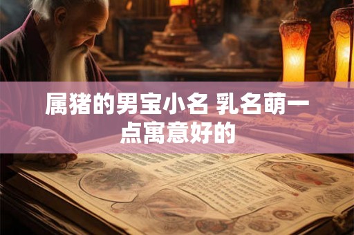 属猪的男宝小名 乳名萌一点寓意好的