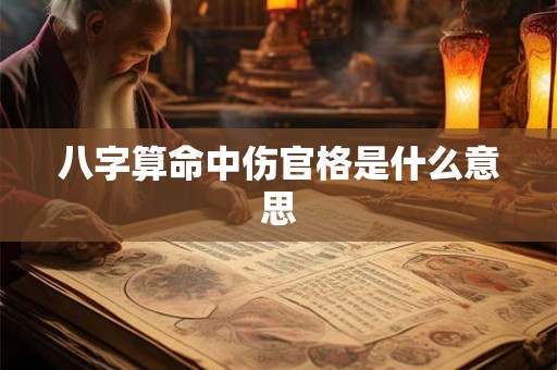 八字算命中伤官格是什么意思