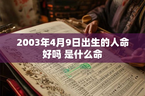 2003年4月9日出生的人命好吗 是什么命
