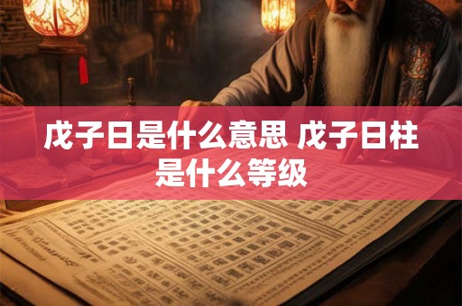 戊子日是什么意思 戊子日柱是什么等级