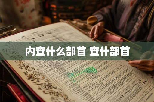 内查什么部首 查什部首