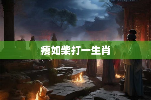 瘦如柴打一生肖 瘦如柴打一生肖