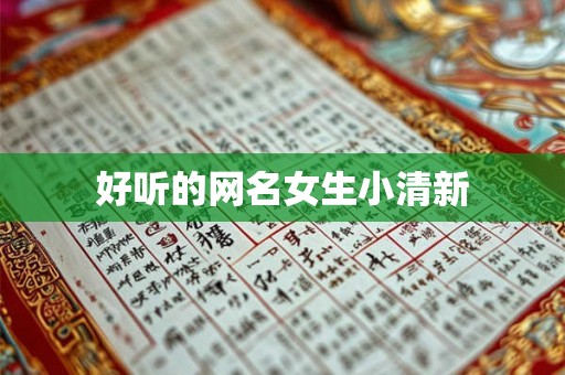 好听的网名女生小清新