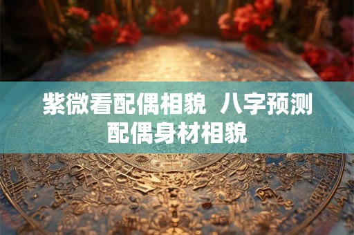 紫微看配偶相貌  八字预测配偶身材相貌