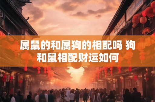 属鼠的和属狗的相配吗 狗和鼠相配财运如何