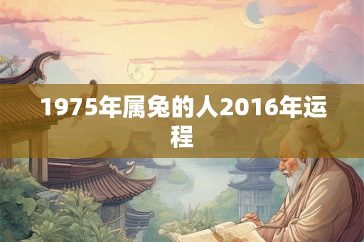 1975年属兔的人2016年运程 1975年属兔的人2016年运程
