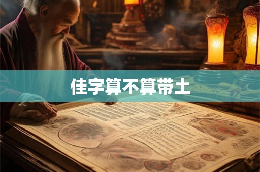 佳字算不算带土
