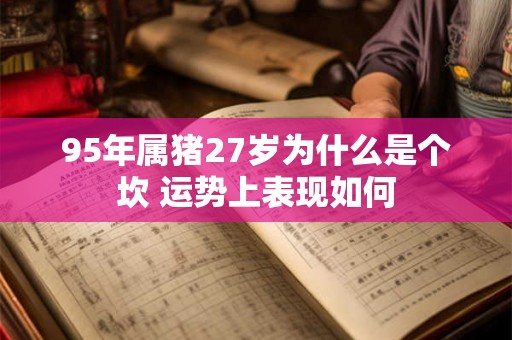 95年属猪27岁为什么是个坎 运势上表现如何