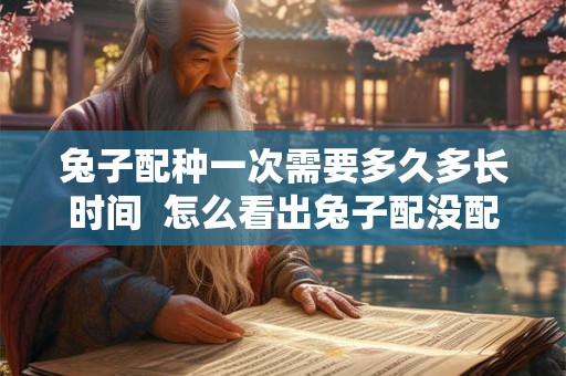 兔子配种一次需要多久多长时间  怎么看出兔子配没配上
