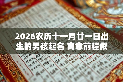 2026农历十一月廿一日出生的男孩起名 寓意前程似锦名字