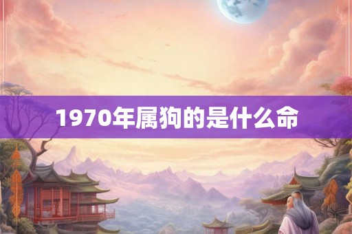 1970年属狗的是什么命