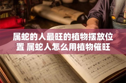 属蛇的人最旺的植物摆放位置 属蛇人怎么用植物催旺运势