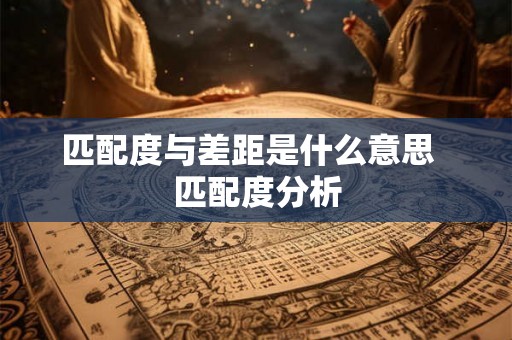 匹配度与差距是什么意思  匹配度分析