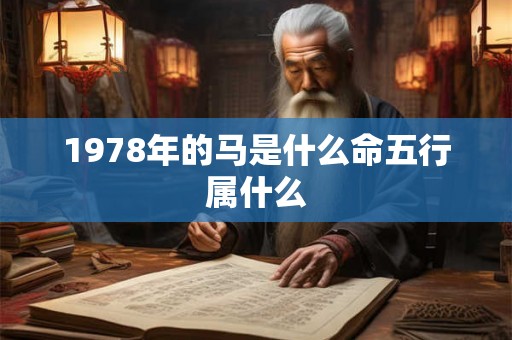 1978年的马是什么命五行属什么