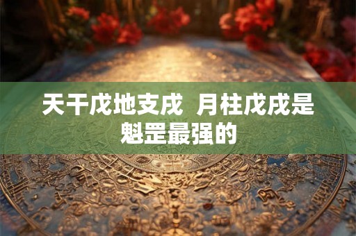 天干戊地支戌 月柱戊戌是魁罡最强的 天干戊地支戌 月柱戊戌是魁罡最强的