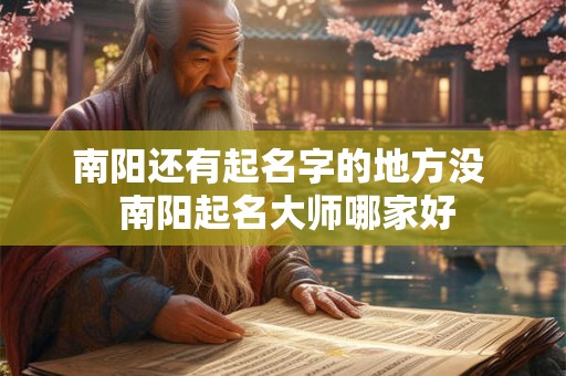 南阳还有起名字的地方没  南阳起名大师哪家好