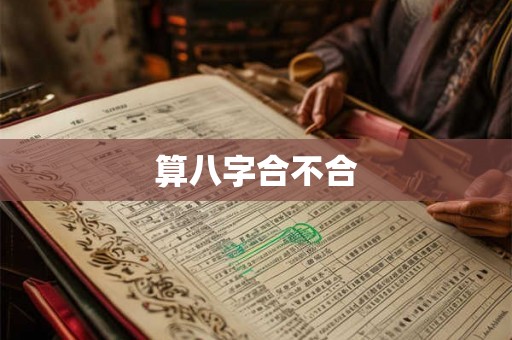 算八字合不合
