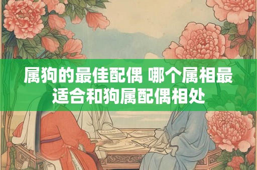 属狗的最佳配偶 哪个属相最适合和狗属配偶相处