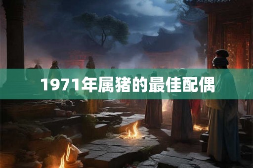 1971年属猪的最佳配偶