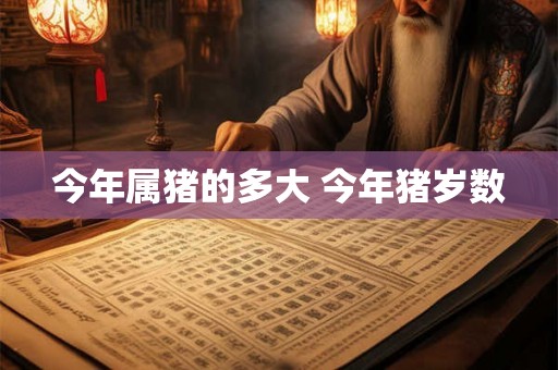 今年属猪的多大 今年猪岁数