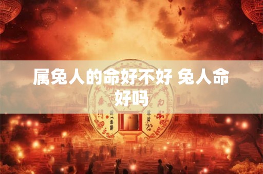 属兔人的命好不好 兔人命好吗 属兔人的命好不好 兔人命好吗