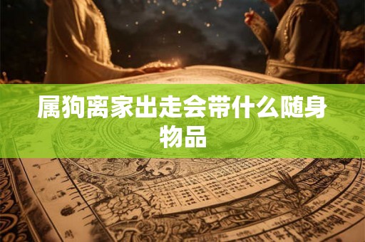 属狗离家出走会带什么随身物品