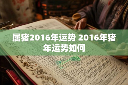 属猪2016年运势 2016年猪年运势如何 属猪2016年运势 2016年猪年运势如何