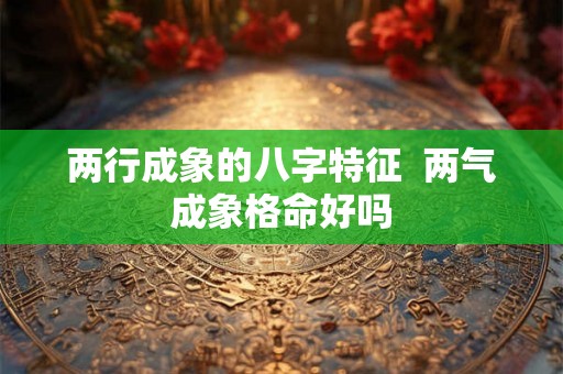 两行成象的八字特征  两气成象格命好吗