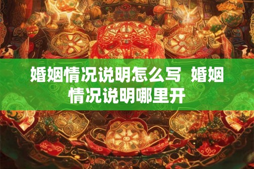 婚姻情况说明怎么写  婚姻情况说明哪里开