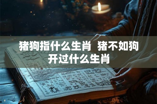 猪狗指什么生肖  猪不如狗开过什么生肖
