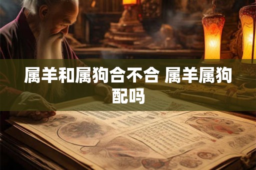 属羊和属狗合不合 属羊属狗配吗