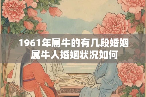 1961年属牛的有几段婚姻 属牛人婚姻状况如何