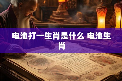 电池打一生肖是什么 电池生肖