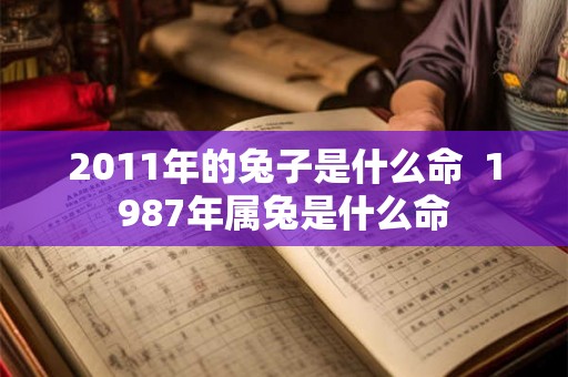2011年的兔子是什么命  1987年属兔是什么命
